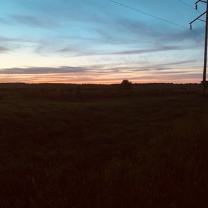 Meet your Posher, Ava